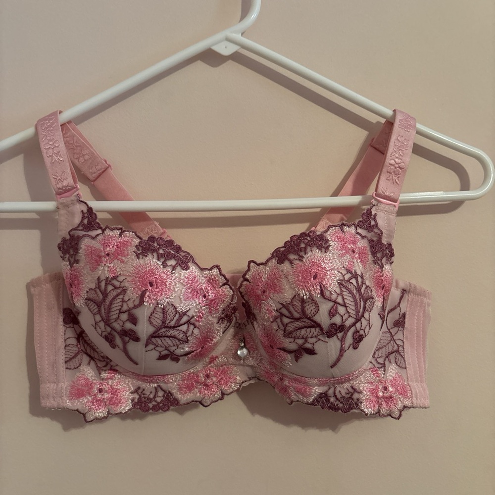 Elegant Pink and Purple Embroidered Bra